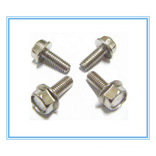 Stainless Steel Hex Flange Bolt (DIN6921)